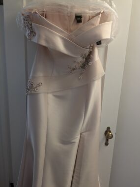 Curvy Couture Blush Strapless Satin Gown with Beaded Appliqué